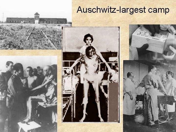 Auschwitz-largest camp 