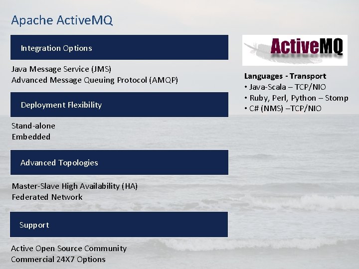 Apache Active. MQ Integration Options Java Message Service (JMS) Advanced Message Queuing Protocol (AMQP) Apache Active. MQ Integration Options Java Message Service (JMS) Advanced Message Queuing Protocol (AMQP)