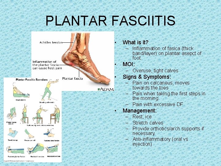 PLANTAR FASCIITIS • What is it? – Inflammation of fasica (thick band/layer) on plantar PLANTAR FASCIITIS • What is it? – Inflammation of fasica (thick band/layer) on plantar
