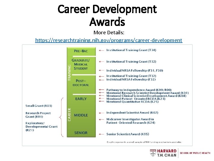 Career Development Awards More Details: https: //researchtraining. nih. gov/programs/career-development 