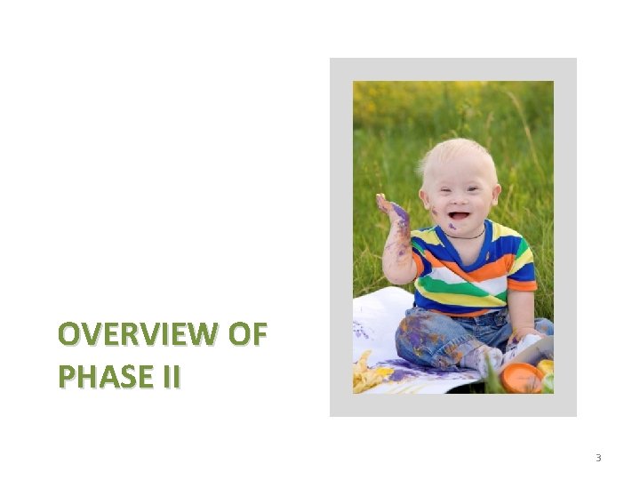 OVERVIEW OF PHASE II 3 OVERVIEW OF PHASE II 3