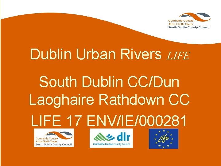 Dublin Urban Rivers LIFE South Dublin CC/Dun Laoghaire Rathdown CC LIFE 17 ENV/IE/000281 