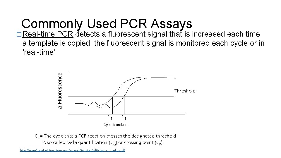 Commonly Used PCR Assays PCR detects a fluorescent signal that is increased each time