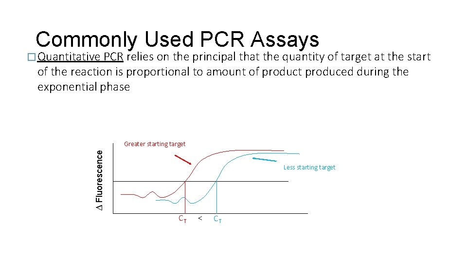 Commonly Used PCR Assays � Quantitative PCR relies on the principal that the quantity