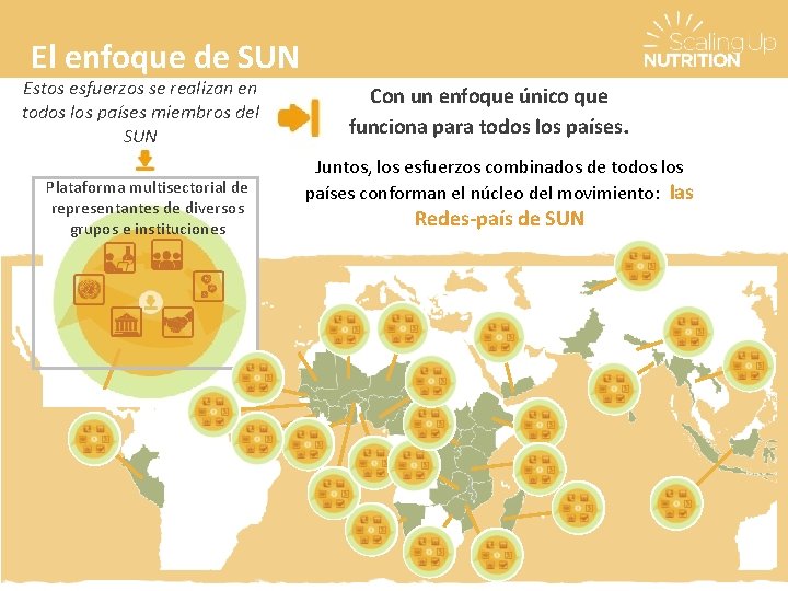 El enfoque de SUN Estos esfuerzos se realizan en todos los países miembros del