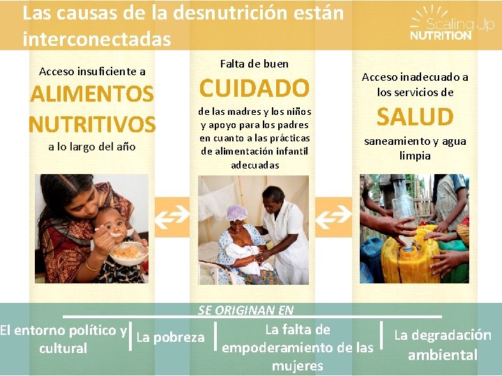 Las causas de la desnutrición están interconectadas Acceso insuficiente a ALIMENTOS NUTRITIVOS a lo
