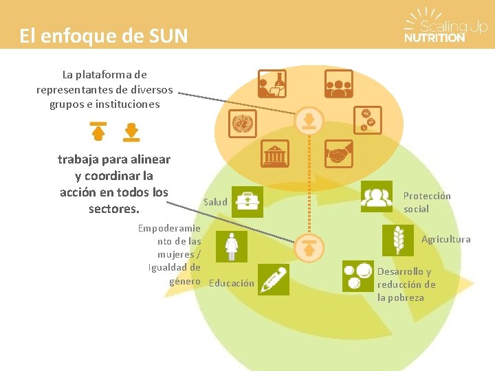 El enfoque de SUN La plataforma de representantes de diversos grupos e instituciones trabaja