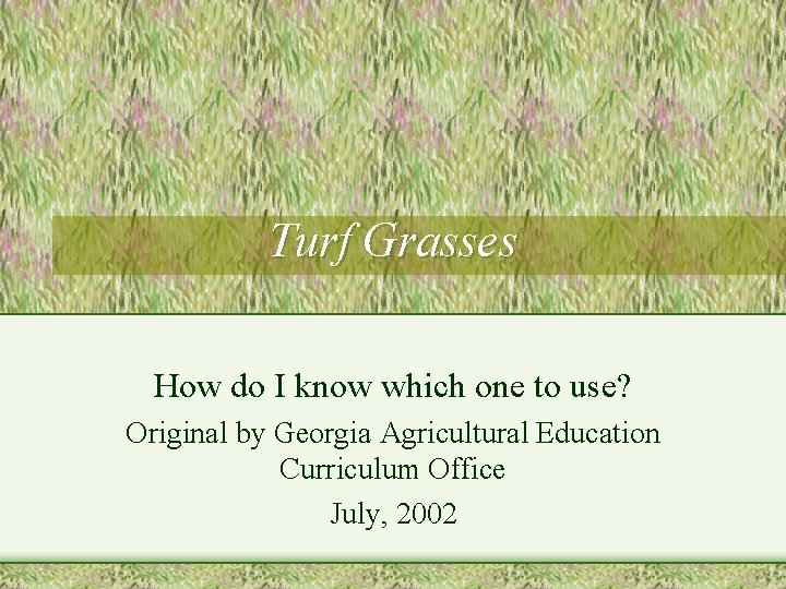 Turf Grasses How do I know which one to use? Original by Georgia Agricultural