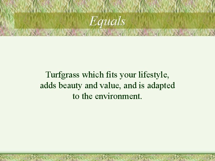 Equals Turfgrass which fits your lifestyle, adds beauty and value, and is adapted to