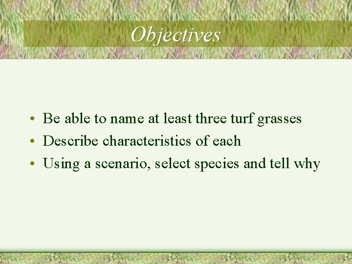 Objectives • Be able to name at least three turf grasses • Describe characteristics