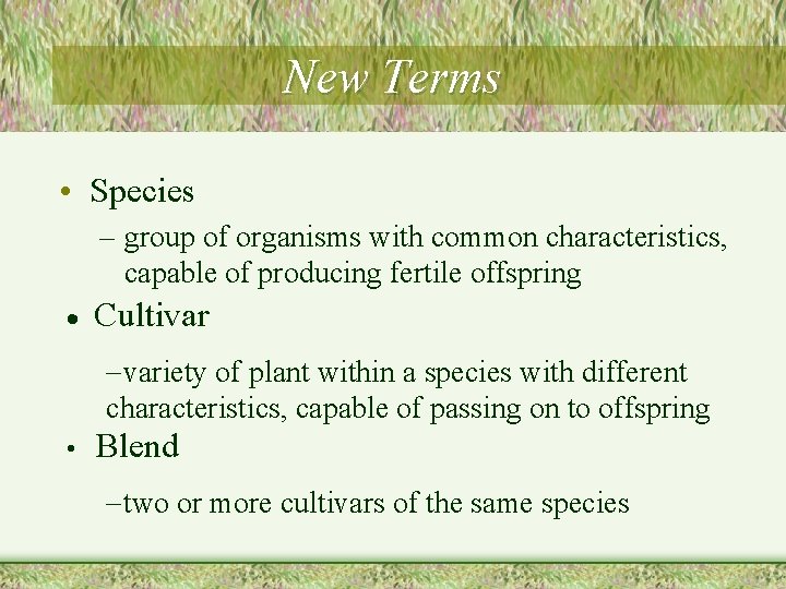 New Terms • Species – group of organisms with common characteristics, capable of producing