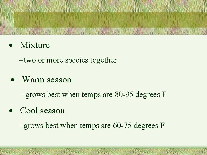 · Mixture -two or more species together · Warm season -grows best when temps