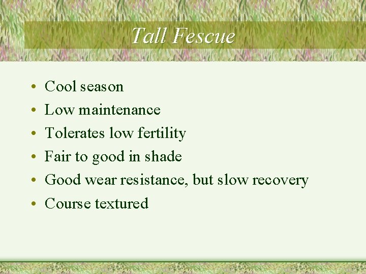 Tall Fescue • • • Cool season Low maintenance Tolerates low fertility Fair to