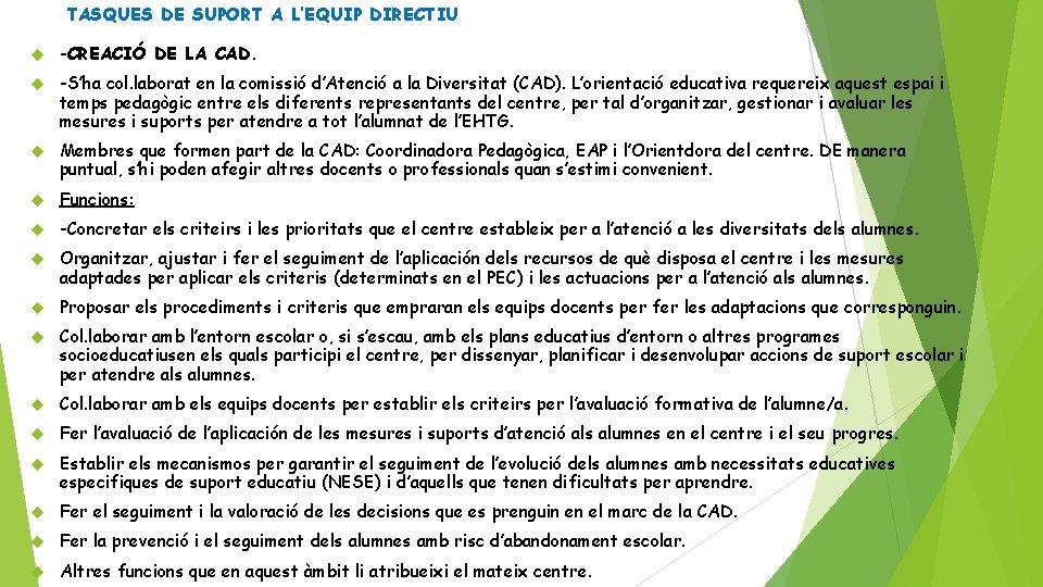 TASQUES DE SUPORT A L’EQUIP DIRECTIU -CREACIÓ DE LA CAD. -S’ha col. laborat en