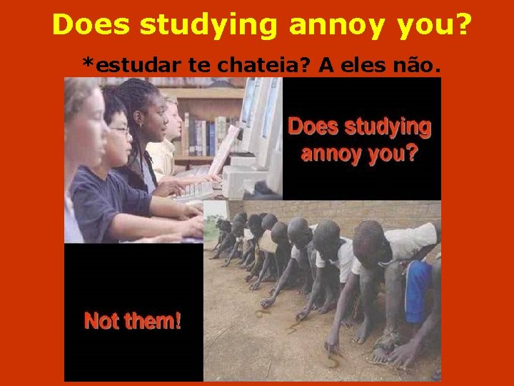 Does studying annoy you? *estudar te chateia? A eles não. 