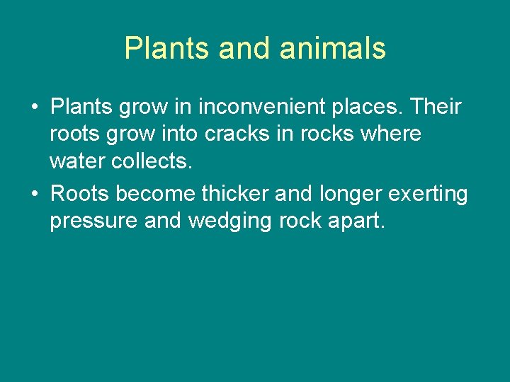 Plants and animals • Plants grow in inconvenient places. Their roots grow into cracks