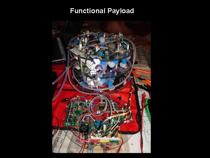 Functional Payload 