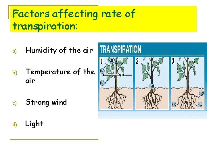 Factors affecting rate of transpiration: a) b) Humidity of the air Temperature of the