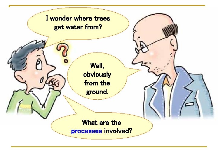 I wonder where trees get water from? Well, obviously from the ground. What are