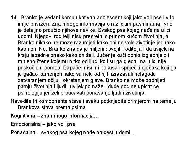 14. Branko je vedar i komunikativan adolescent koji jako voli pse i vrlo im