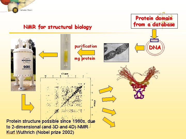 NMR for structural biology purification mg protein Protein structure possible since 1980 s, due