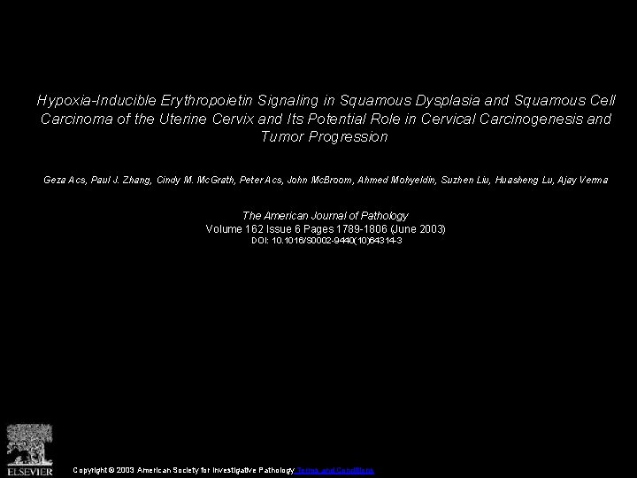 Hypoxia-Inducible Erythropoietin Signaling in Squamous Dysplasia and Squamous Cell Carcinoma of the Uterine Cervix