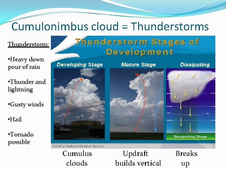 Cumulonimbus cloud = Thunderstorms Thunderstorm: • Heavy down pour of rain • Thunder and