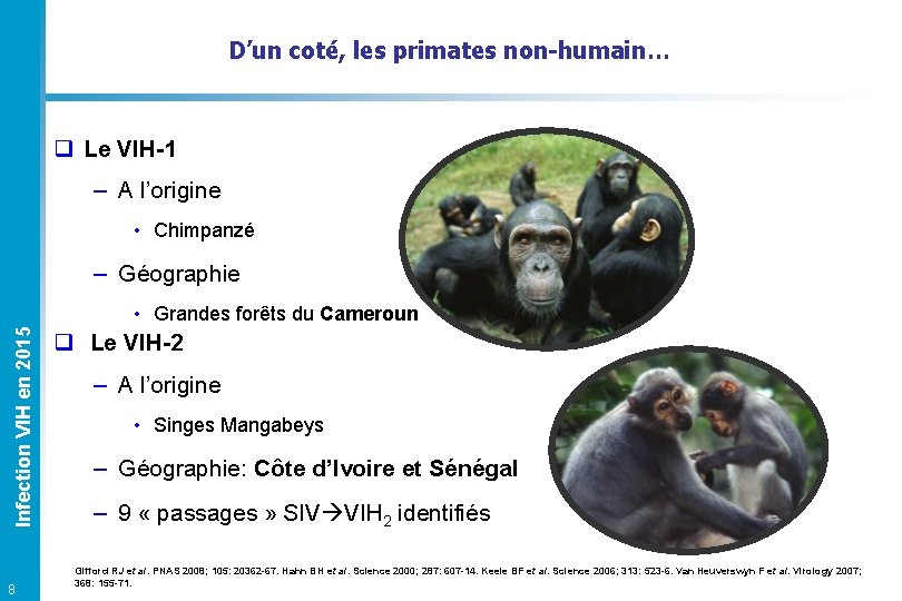 D’un coté, les primates non-humain… q Le VIH-1 – A l’origine • Chimpanzé –