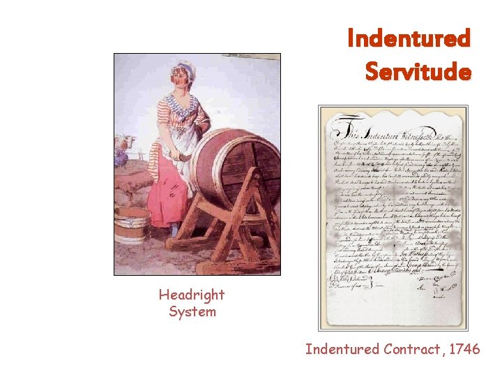 Indentured Servitude Headright System Indentured Contract, 1746 