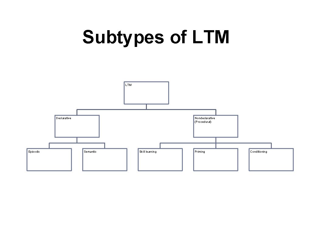 Subtypes of LTM Declarative Episodic Nondeclarative (Procedural) Semantic Skill learning Priming Conditioning 