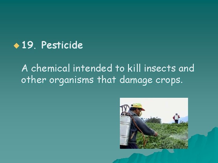 u 19. Pesticide A chemical intended to kill insects and other organisms that damage