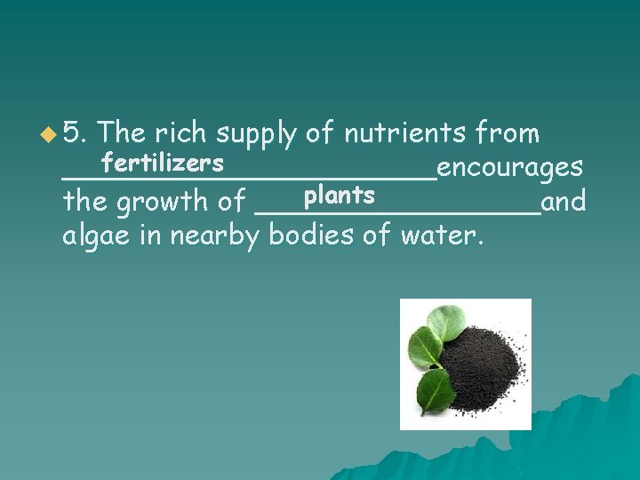 u 5. The rich supply of nutrients from fertilizers ___________encourages plants the growth of