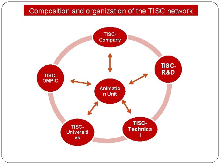 Composition and organization of the TISC network TISCOMPIC TISCCompany TISCR&D TISCOMPIC Animatio n Unit