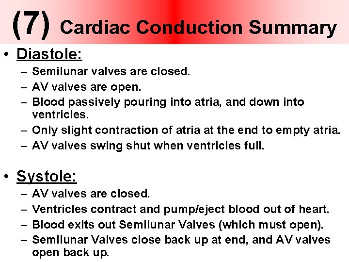 (7) Cardiac Conduction Summary • Diastole: – Semilunar valves are closed. – AV valves