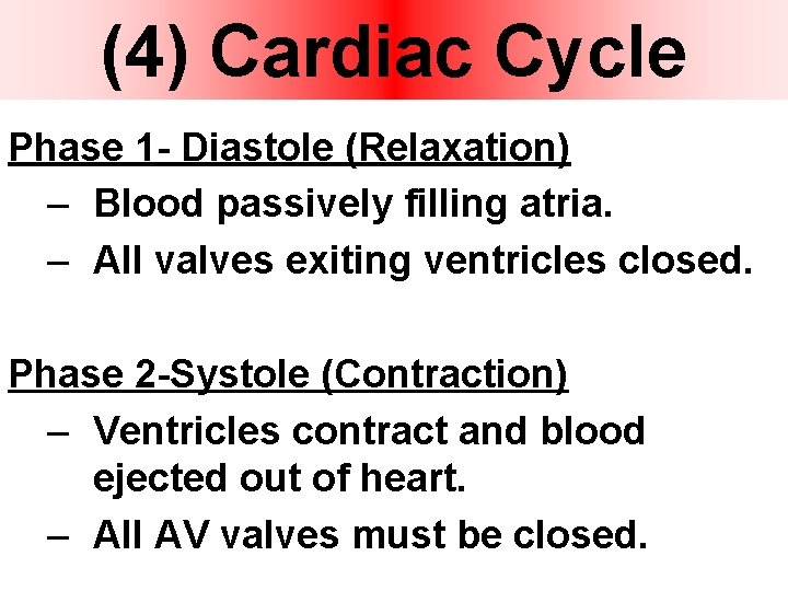 (4) Cardiac Cycle Phase 1 - Diastole (Relaxation) – Blood passively filling atria. –