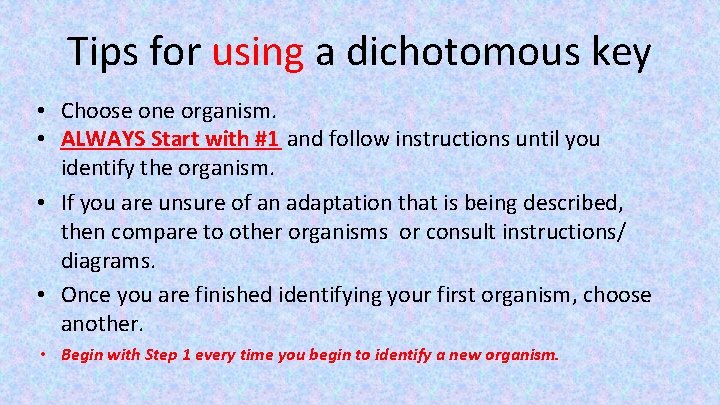 Tips for using a dichotomous key • Choose one organism. • ALWAYS Start with