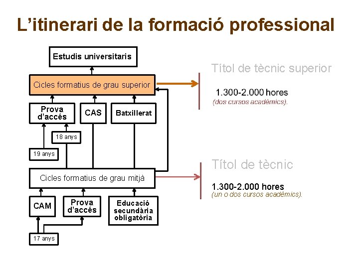 L’itinerari de la formació professional Estudis universitaris Títol de tècnic superior Cicles formatius de L’itinerari de la formació professional Estudis universitaris Títol de tècnic superior Cicles formatius de