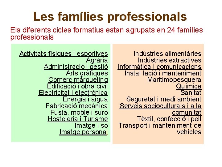 Les famílies professionals Els diferents cicles formatius estan agrupats en 24 famílies professionals Activitats Les famílies professionals Els diferents cicles formatius estan agrupats en 24 famílies professionals Activitats