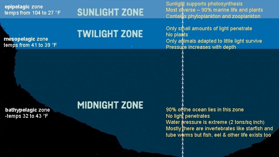 epipelagic zone temps from 104 to 27 °F mesopelagic zone temps from 41 to epipelagic zone temps from 104 to 27 °F mesopelagic zone temps from 41 to
