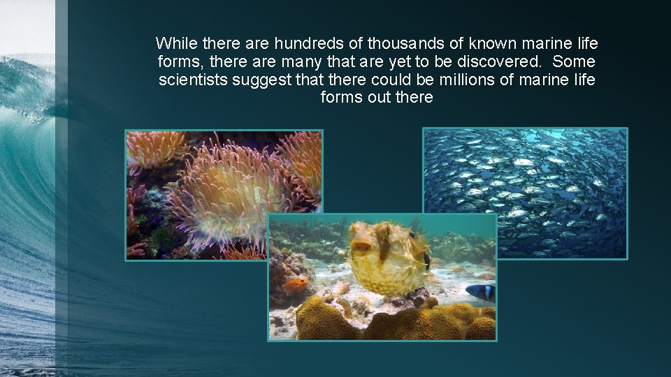 While there are hundreds of thousands of known marine life forms, there are many While there are hundreds of thousands of known marine life forms, there are many