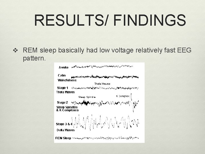 RESULTS/ FINDINGS v REM sleep basically had low voltage relatively fast EEG pattern. 