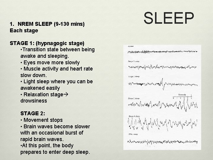 1. NREM SLEEP (9 -130 mins) Each stage STAGE 1: (hypnagogic stage) • Transition