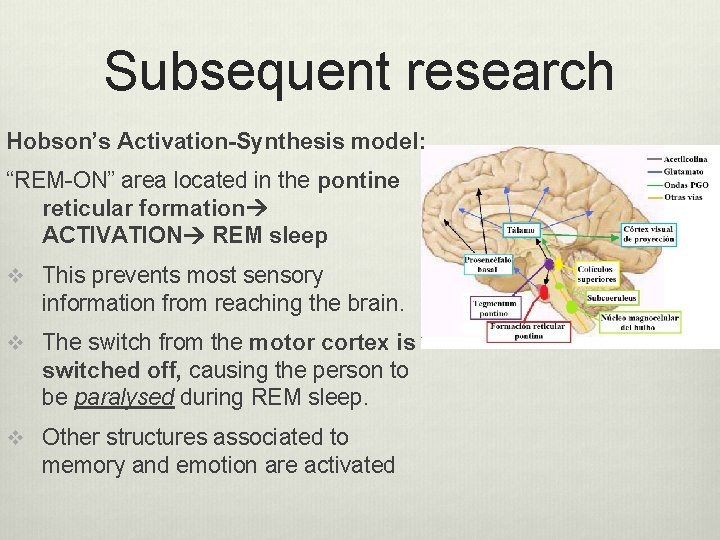 Subsequent research Hobson’s Activation-Synthesis model: “REM-ON” area located in the pontine reticular formation ACTIVATION