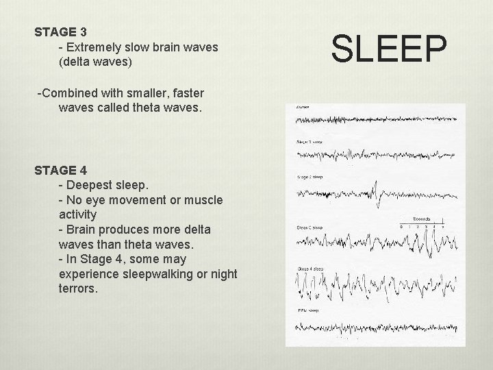 STAGE 3 - Extremely slow brain waves (delta waves) -Combined with smaller, faster waves