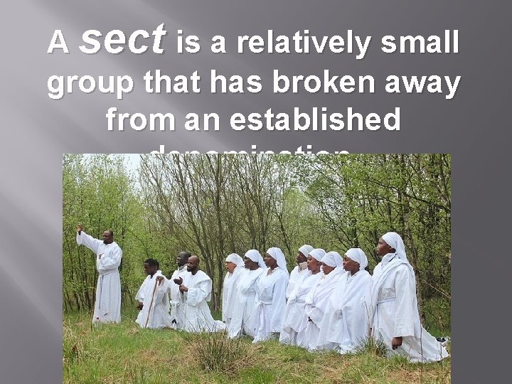 A sect is a relatively small group that has broken away from an established
