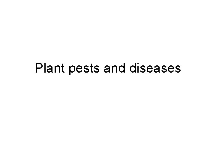 Plant pests and diseases 