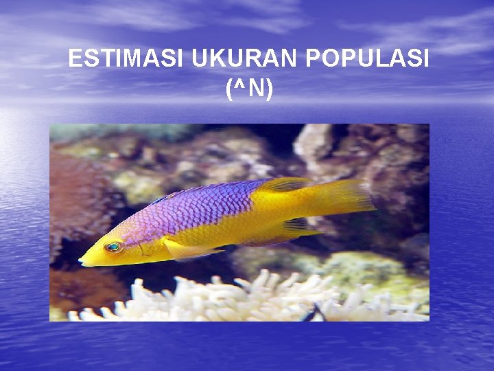 ESTIMASI UKURAN POPULASI (^N) 