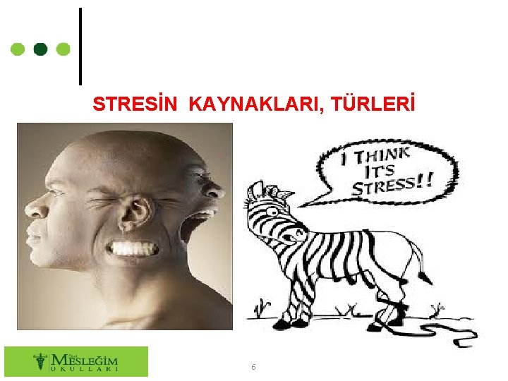 STRESİN KAYNAKLARI, TÜRLERİ 6 