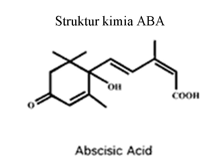 Struktur kimia ABA 