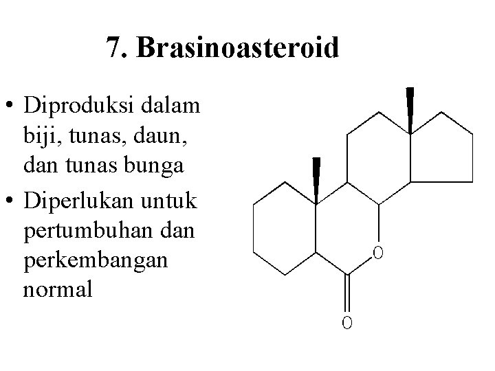 7. Brasinoasteroid • Diproduksi dalam biji, tunas, daun, dan tunas bunga • Diperlukan untuk